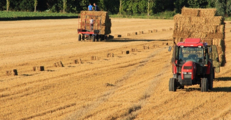 To traktorer som høster korn i en åker. Foto.
