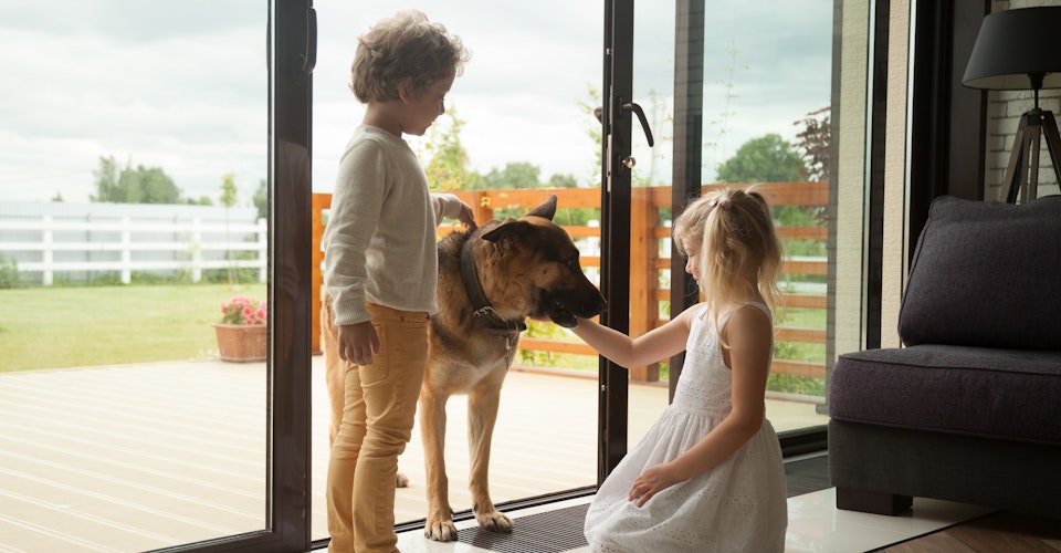 To små barn leker med en schæferhund i åpen verandadør mellom stue og veranda. Foto.